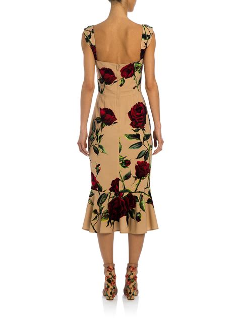 dolce gabbana rose blush|dolce gabbana rose print dress.